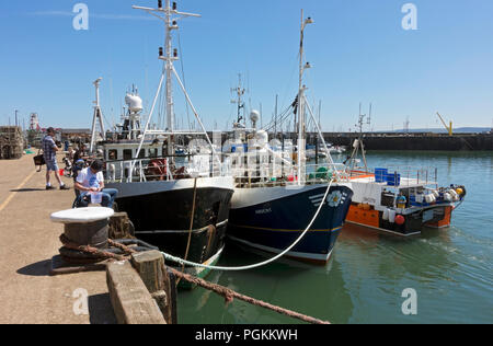 Fischertrawler Trawler Boote moored at the Quayside in Summer Scarborough Harbour North Yorkshire England Großbritannien GB Großbritannien Stockfoto