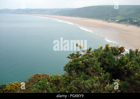 Stechginster Busch mit Putsborough und Woolacombe Strand in Morte Bay von Nappe Klippe an der South West Coastal Path in Devon, England, UK. Stockfoto