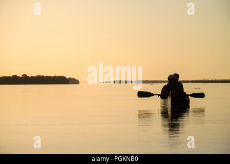 Touristen paddeln auf dem Zambezi Fluss im Mana Pools Nationalpark in Simbabwe. Stockfoto