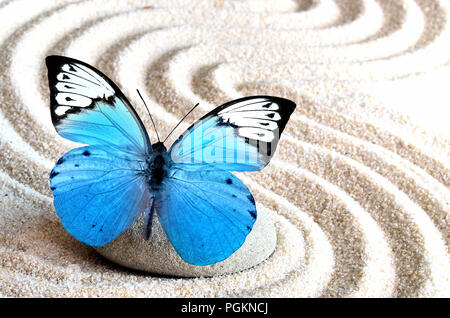 Sand, blauer Schmetterling und Wellness Stein in Zen Garten. Spa-Konzept. Stockfoto