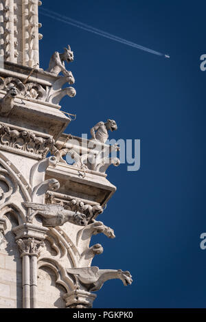 Wasserspeier und Chimera auf die Türme der Kathedrale Notre Dame, Paris, Frankreich Stockfoto