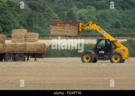 Das Einbringen der Ernte. Ein Traktor laden Ballen Stroh auf einen Anhänger in einem Bereich, in Hampshire, Großbritannien, im August Stockfoto