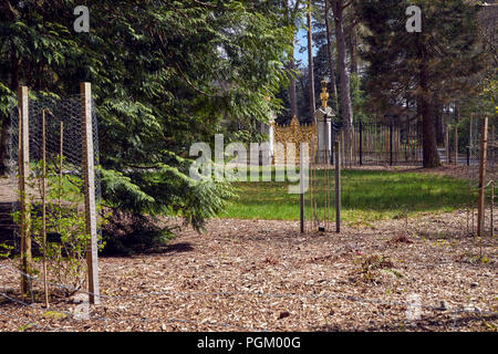 Die wiederhergestellten Golden Gates in ihrer ursprünglichen Lage an Benmore Botanische Gärten Stockfoto