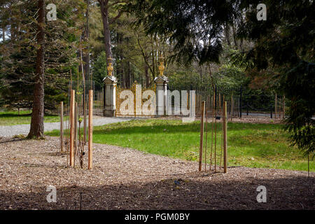 Die wiederhergestellten Golden Gates in ihrer ursprünglichen Lage an Benmore Botanische Gärten Stockfoto