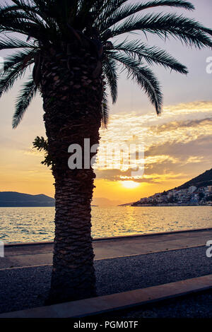 Palmen am Strand bei Sonnenuntergang in Neum, Bosnien und Herzegowina Stockfoto