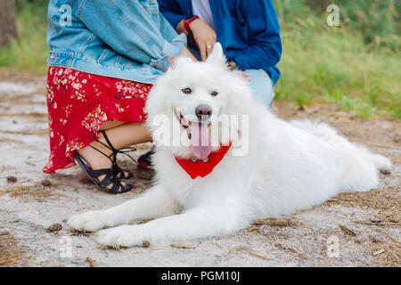 Süße weiße flauschige Hund liegend auf dem Boden in der Nähe seiner Besitzer Stockfoto