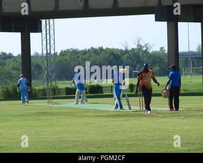 Kricket in Irving Bald Spielen unter den Lichtern Stockfoto