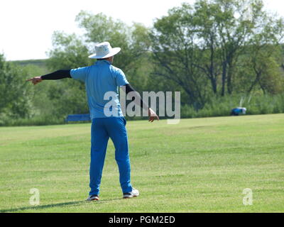 Kricket in Irving Bald Spielen unter den Lichtern Stockfoto