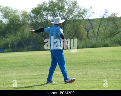 Kricket in Irving Bald Spielen unter den Lichtern Stockfoto