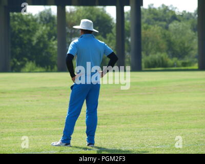 Kricket in Irving Bald Spielen unter den Lichtern Stockfoto