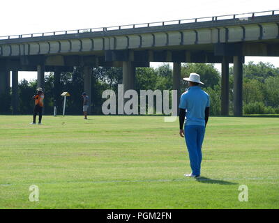 Kricket in Irving Bald Spielen unter den Lichtern Stockfoto