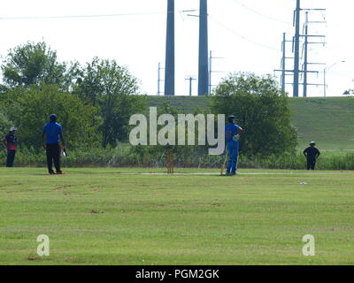 Kricket in Irving Bald Spielen unter den Lichtern Stockfoto