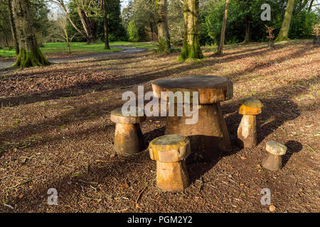 Ein hübsches Bild von einem Wald Tisch und Stühlen aus Baumstämmen gefertigt Stockfoto