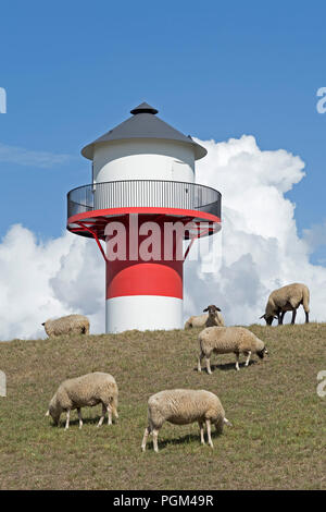 Schafe vor Leuchtturm, Lühe, Altes Land (altes Land), Niedersachsen, Deutschland Stockfoto