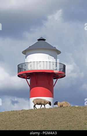 Schafe vor Leuchtturm, Lühe, Altes Land (altes Land), Niedersachsen, Deutschland Stockfoto