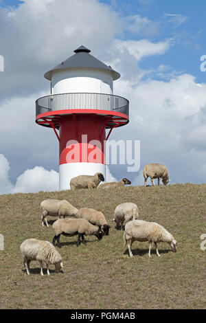 Schafe vor Leuchtturm, Lühe, Altes Land (altes Land), Niedersachsen, Deutschland Stockfoto