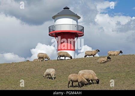 Schafe vor Leuchtturm, Lühe, Altes Land (altes Land), Niedersachsen, Deutschland Stockfoto