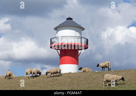 Schafe vor Leuchtturm, Lühe, Altes Land (altes Land), Niedersachsen, Deutschland Stockfoto