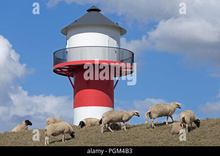 Schafe vor Leuchtturm, Lühe, Altes Land (altes Land), Niedersachsen, Deutschland Stockfoto