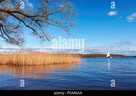 Einsames segelboot segeln auf einem See mit Schilf im Ermland/Masuren, Polen Stockfoto