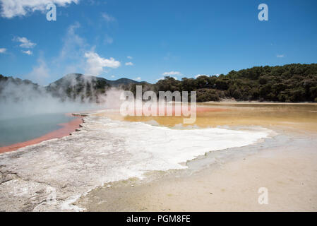 Atemberaubende thermische Aktivität mit üppigen Wald am Orakei Korako geothermische Bereich in Rotoraua, Neuseeland Stockfoto