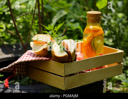 Picknick - Sandwiches und Limonade, Essen und Trinken Stockfoto