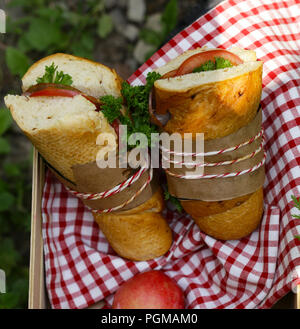Picknick - Sandwiches und Limonade, Essen und Trinken Stockfoto