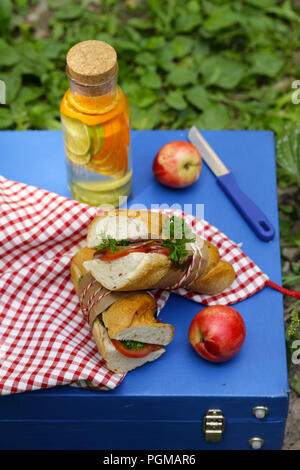 Picknick - Sandwiches und Limonade, Essen und Trinken Stockfoto