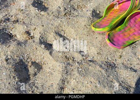 Pinkfarbene Damenpantoffeln mit grünen und gelben Scheidungen auf gelbem Sand mit flachem Muschelstrand am Schwarzen Meer am Nachmittag. Stockfoto