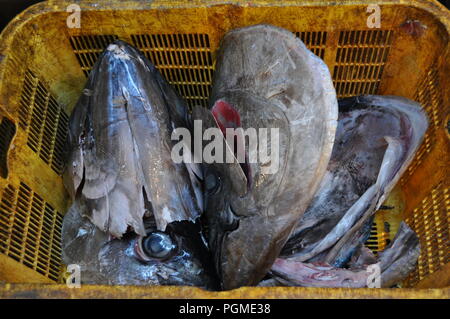 Thunfisch Kopf Reste in Tsukiji Fischmarkt, Toyko, Japan Stockfoto