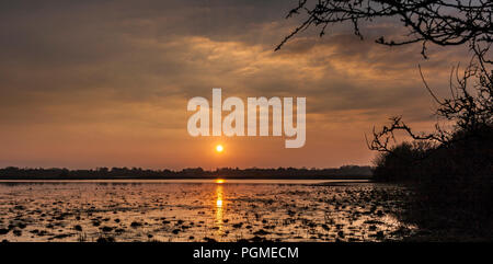 Sonnenuntergang über Lough Ree Athlone Irland Stockfoto