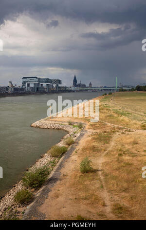 Niedriger Wasserstand des Rheins, 25. August 2018, Regenwolken über das ausgetrocknete Wiesen am Rhein, Blick zum Rheinauer Hafen und der Kathedrale. Stockfoto