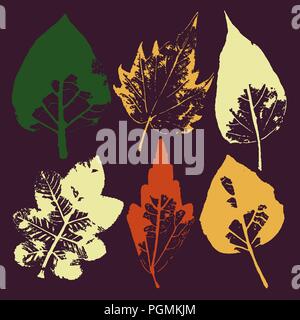 Vektor Zweige und Blätter. Hand gezeichnet floralen Elementen. Vintage monochrome botanischen Abbildung. Stempel der Schwarze Blätter auf einem weißen Hintergrund. Elemente für Öko und Bio Logos. Stock Vektor