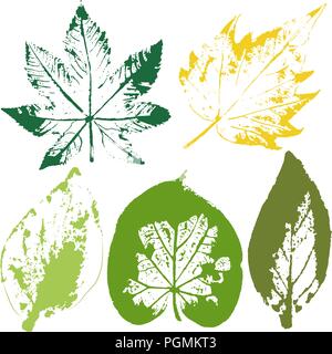 Vektor Zweige und Blätter. Hand gezeichnet floralen Elementen. Vintage monochrome botanischen Abbildung. Stempel der Schwarze Blätter auf einem weißen Hintergrund. Elemente für Öko und Bio Logos. Stock Vektor