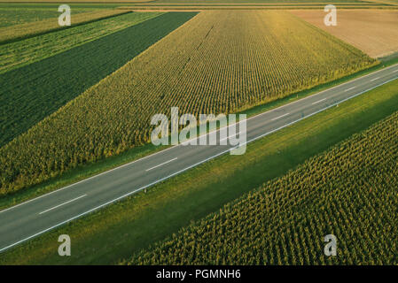 Luftaufnahme von zweispurigen Autobahn Straße durch Landschaft und kultivierten Feld von Mais im Sommer Sonnenuntergang Stockfoto