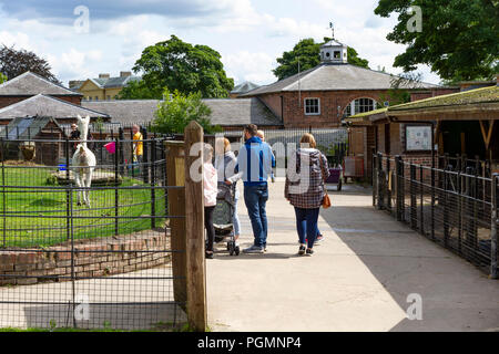 Die Ställe Tier Zentrum in Heaton Park, Prestwich, England. Stockfoto