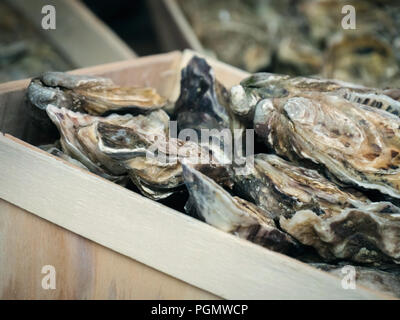 Austern zum Verkauf an der Seafood Market Stockfoto