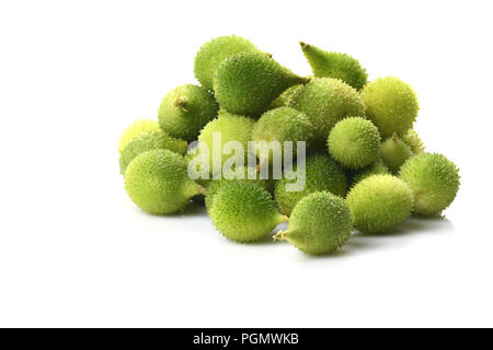 Vorderansicht des frischen grünen stacheligen Kürbis. Stockfoto