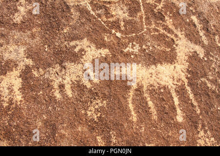 Deer/Antilope Petroglpys im Arizona Stockfoto