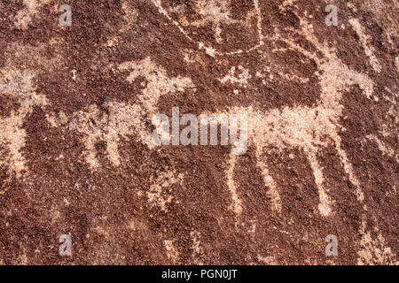 Deer/Antilope Petroglpys im Arizona Stockfoto