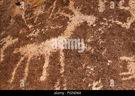 Deer/Antilope Petroglyph Gefunden in Prescott, Arizona Stockfoto