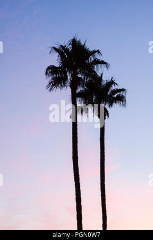 Palm Tree Silhouette während der farbenfrohen Pastelltönen Sonnenuntergang Stockfoto