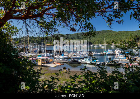 Marina in Brentwood Bay, Saanich Peninsula, Vancouver Island, British Columbia, Kanada Stockfoto