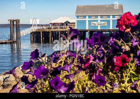 Sat-Fish Co., Ltd. Fischmarkt - Sidney, Vancouver Island, British Columbia, Kanada Stockfoto