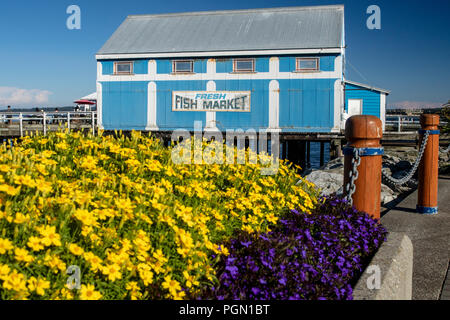 Sat-Fish Co., Ltd. Fischmarkt - Sidney, Vancouver Island, British Columbia, Kanada Stockfoto