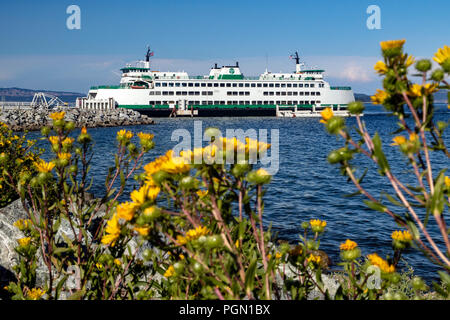 Washington State Ferry (Chelan) an Sidney Ferry Terminal, Vancouver Island, British Columbia, Kanada Stockfoto