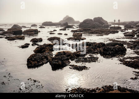 Sombrio Beach, Juan de Fuca Provincial Park - in der Nähe von Port Renfrew, Vancouver Island, British Columbia, Kanada Stockfoto