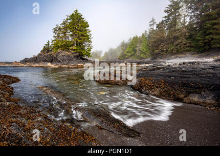 Botanical Beach Provincial Park und Botany Bay - Juan de Fuca Marine Trail-Port Renfrew, Vancouver Island, British Columbia, Kanada Stockfoto