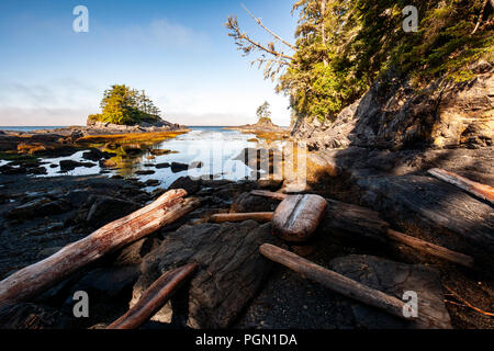 Küstenansicht am Botanical Beach Provincial Park und Botany Bay - Juan de Fuca Marine Trail-Port Renfrew, Vancouver Island, British Columbia, Kanada Stockfoto