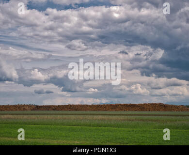 Gespeicherte Protokolle der Forstwirtschaft hinter einer Wiese mit beeindruckenden cloudscape Stockfoto